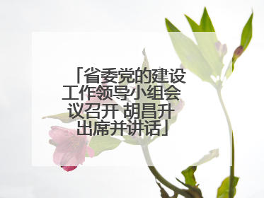 省委党的建设工作领导小组会议召开 胡昌升出席并讲话