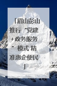眉山彭山推行“党建+政务服务”模式 精准惠企便民
