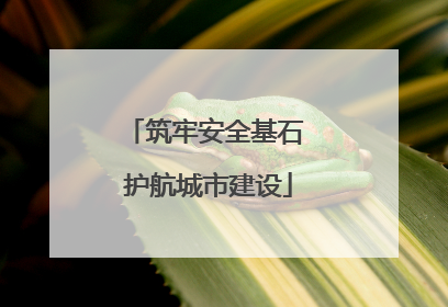 筑牢安全基石 护航城市建设