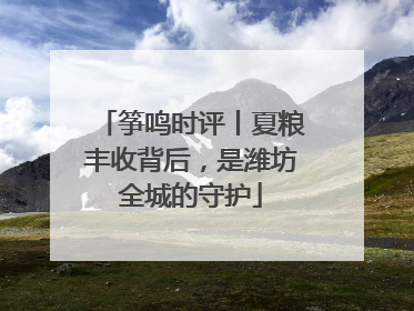筝鸣时评丨夏粮丰收背后，是潍坊全城的守护