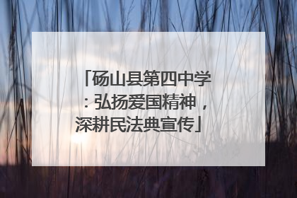 砀山县第四中学：弘扬爱国精神，深耕民法典宣传