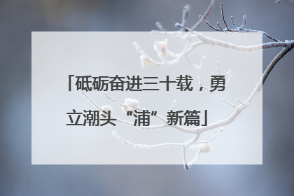 砥砺奋进三十载，勇立潮头“浦”新篇
