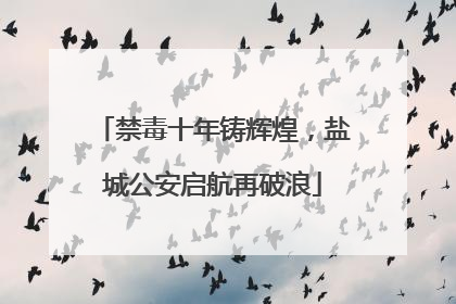 禁毒十年铸辉煌，盐城公安启航再破浪