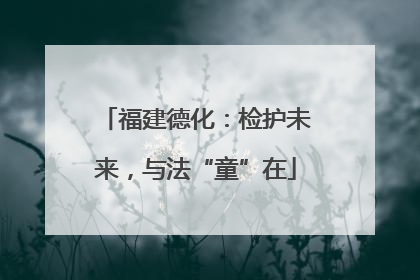 福建德化：检护未来，与法“童”在
