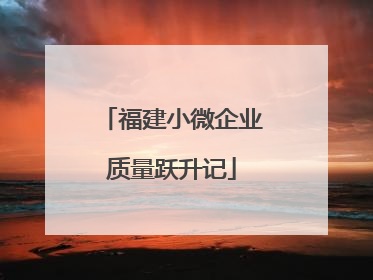 福建小微企业质量跃升记