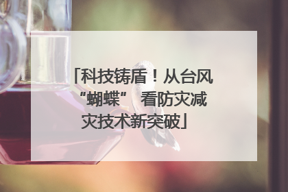 科技铸盾！从台风“蝴蝶” 看防灾减灾技术新突破