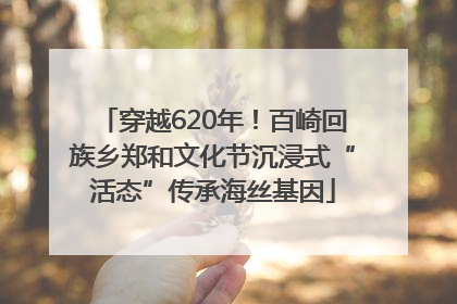 穿越620年！百崎回族乡郑和文化节沉浸式“活态”传承海丝基因