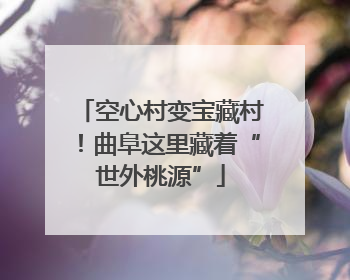 空心村变宝藏村！曲阜这里藏着“世外桃源”