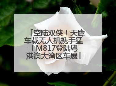空陆双侠！天鹰车载无人机携手猛士M817登陆粤港澳大湾区车展