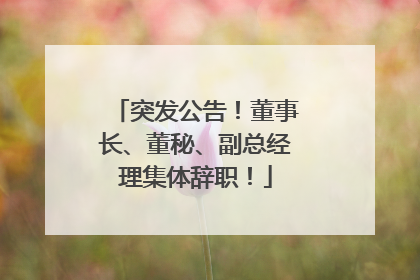 突发公告！董事长、董秘、副总经理集体辞职！