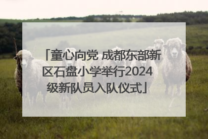 童心向党 成都东部新区石盘小学举行2024级新队员入队仪式