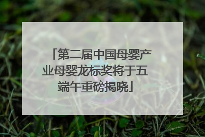 第二届中国母婴产业母婴龙标奖将于五端午重磅揭晓