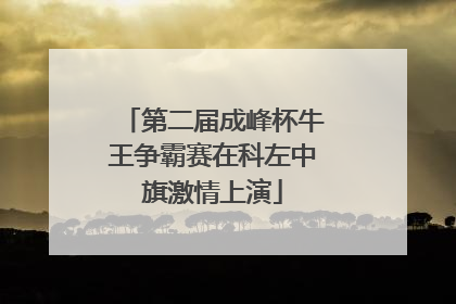 第二届成峰杯牛王争霸赛在科左中旗激情上演