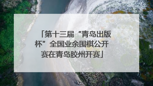第十三届“青岛出版杯”全国业余围棋公开赛在青岛胶州开赛