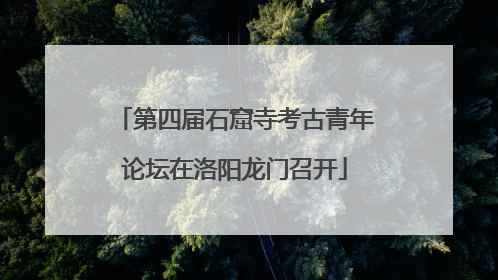 第四届石窟寺考古青年论坛在洛阳龙门召开