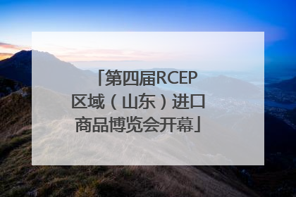 第四届RCEP区域（山东）进口商品博览会开幕