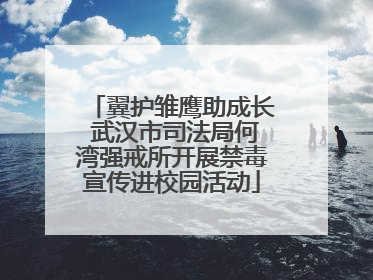 翼护雏鹰助成长 武汉市司法局何湾强戒所开展禁毒宣传进校园活动