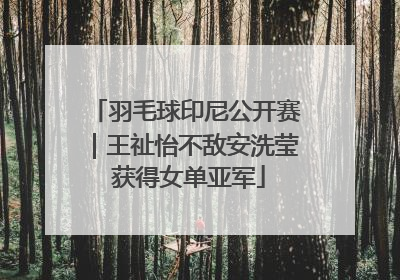 羽毛球印尼公开赛｜王祉怡不敌安洗莹 获得女单亚军