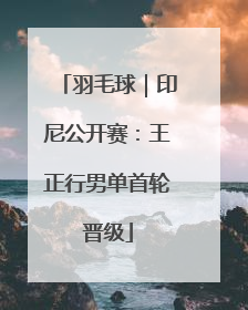羽毛球｜印尼公开赛：王正行男单首轮晋级