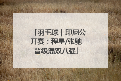 羽毛球｜印尼公开赛：程星/张驰晋级混双八强