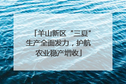 羊山新区“三夏”生产全面发力，护航农业稳产增收
