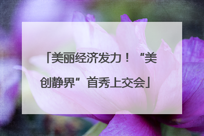 美丽经济发力！“美创静界”首秀上交会