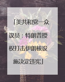 美共和党一众议员：特朗普授权打击伊朗核设施决定违宪