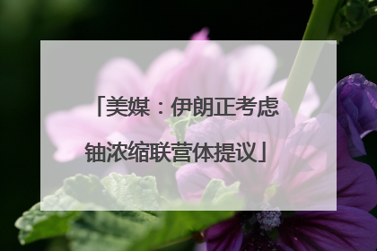 美媒：伊朗正考虑铀浓缩联营体提议