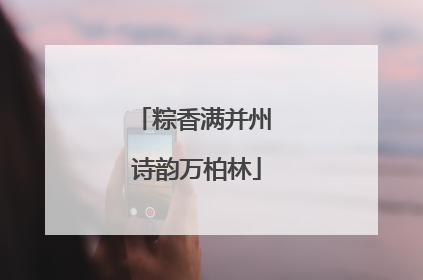 粽香满并州 诗韵万柏林