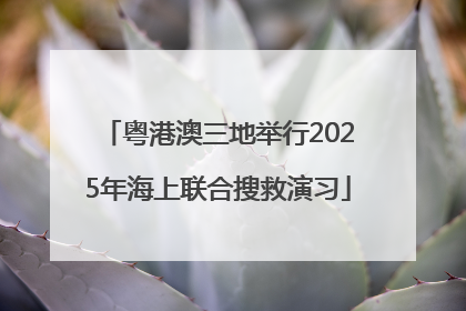 粤港澳三地举行2025年海上联合搜救演习