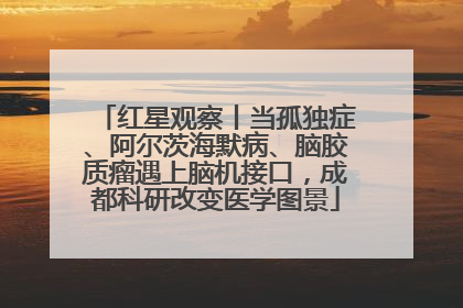 红星观察丨当孤独症、阿尔茨海默病、脑胶质瘤遇上脑机接口，成都科研改变医学图景