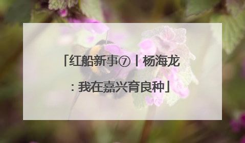 红船新事⑦丨杨海龙：我在嘉兴育良种