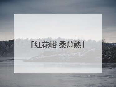 红花峪 桑葚熟