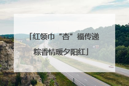 红领巾“杏”福传递 粽香情暖夕阳红