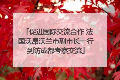 促进国际交流合作 法国沃昂沃兰市副市长一行到访成都考察交流