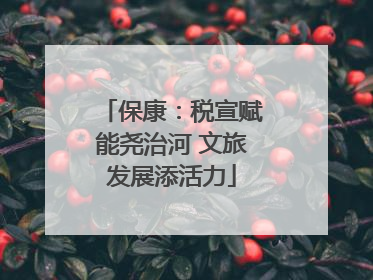 保康：税宣赋能尧治河 文旅发展添活力