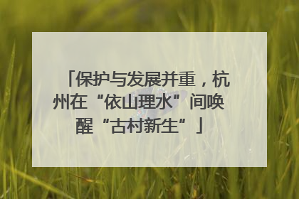 保护与发展并重，杭州在“依山理水”间唤醒“古村新生”