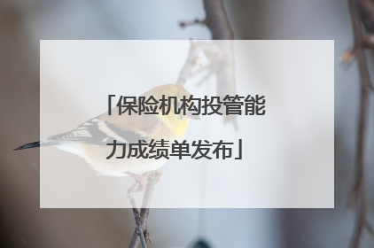 保险机构投管能力成绩单发布