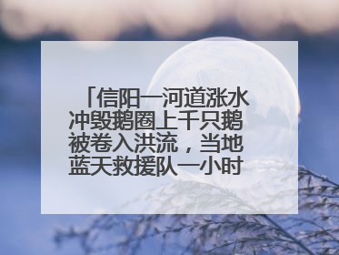 信阳一河道涨水冲毁鹅圈上千只鹅被卷入洪流，当地蓝天救援队一小时赶鹅上岸