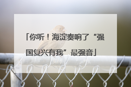 你听！海淀奏响了“强国复兴有我”最强音