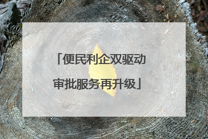 便民利企双驱动 审批服务再升级