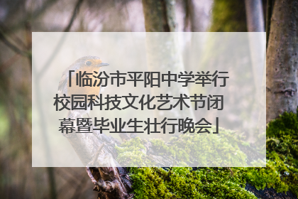临汾市平阳中学举行校园科技文化艺术节闭幕暨毕业生壮行晚会