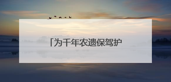 为千年农遗保驾护航！《丽水市青田稻鱼共生系统保护发展条例》正式施行