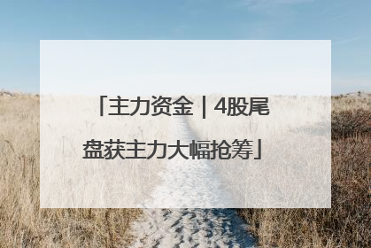 主力资金｜4股尾盘获主力大幅抢筹