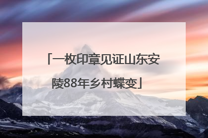 一枚印章见证山东安陵88年乡村蝶变