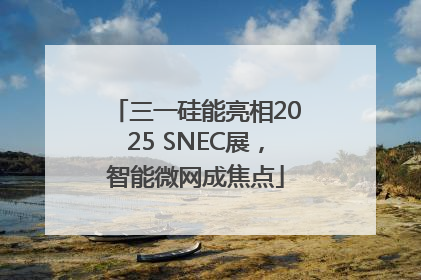 三一硅能亮相2025 SNEC展，智能微网成焦点