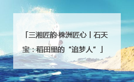 三湘匠韵·株洲匠心丨石天宝：稻田里的“追梦人”