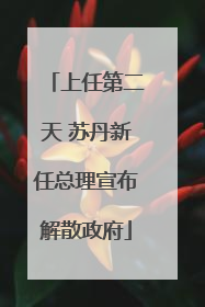 上任第二天 苏丹新任总理宣布解散政府