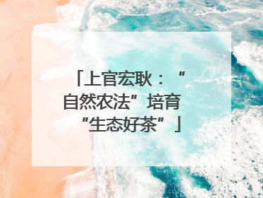 上官宏耿：“自然农法”培育“生态好茶”