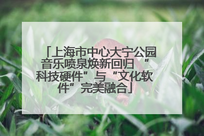 上海市中心大宁公园音乐喷泉焕新回归 “科技硬件”与“文化软件”完美融合